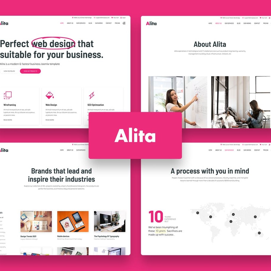 Alita – Web Stüdyo, CV & Ajans WordPress Teması_66017281ac7ce.jpeg