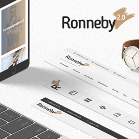Ronneby – Çok Amaçlı WordPress Teması_66017988cb87c.png
